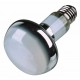 Osvetlenie terária Basking Spot - Lamp 35W