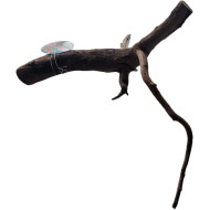 Dekorácie a piesky Prírodný Driftwood Manila D2