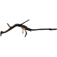 Dekorácie a piesky Prírodný Driftwood Manila D9