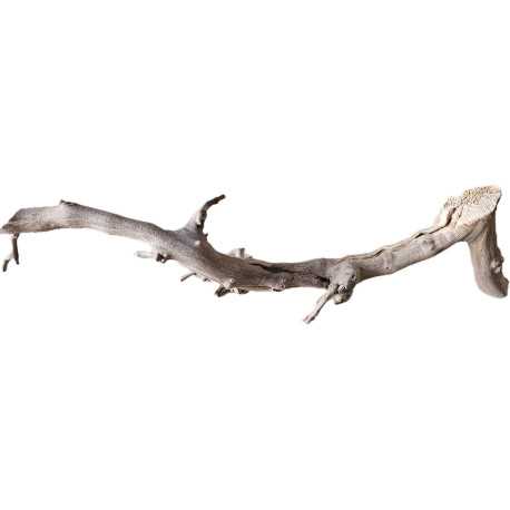 Dekorácie a piesky Prírodný Driftwood Grapevite D29