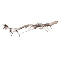 Dekorácie a piesky Prírodný Driftwood Grapevite D32