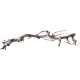 Dekorácie a piesky Prírodný Driftwood Grapevite D32