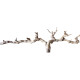 Dekorácie a piesky Prírodný Driftwood Grapevite D34