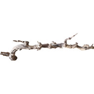 Dekorácie a piesky Prírodný Driftwood Grapevite D35