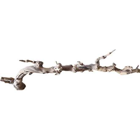 Dekorácie a piesky Prírodný Driftwood Grapevite D35