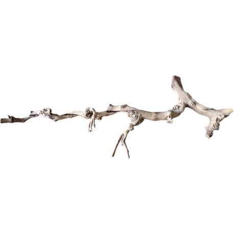 Dekorácie a piesky Prírodný Driftwood Grapevite D36