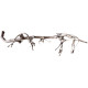 Dekorácie a piesky Prírodný Driftwood Grapevite D38