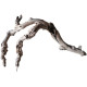 Dekorácie a piesky Prírodný Driftwood Grapevite D39