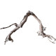 Dekorácie a piesky Prírodný Driftwood Grapevite D40