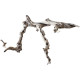 Dekorácie a piesky Prírodný Driftwood Grapevite D44