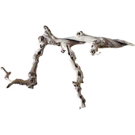 Dekorácie a piesky Prírodný Driftwood Grapevite D44