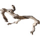 Dekorácie a piesky Prírodný Driftwood Grapevite D46