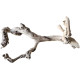 Dekorácie a piesky Prírodný Driftwood Grapevite D46