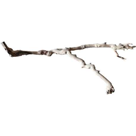 Dekorácie a piesky Prírodný Driftwood Grapevite D47