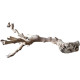 Dekorácie a piesky Prírodný Driftwood Grapevite D49