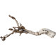 Dekorácie a piesky Prírodný Driftwood Grapevite D49