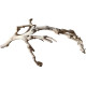 Dekorácie a piesky Prírodný Driftwood Grapevite D51