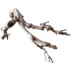 Dekorácie a piesky Prírodný Driftwood Grapevite D52