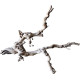 Dekorácie a piesky Prírodný Driftwood Grapevite D53