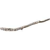 Dekorácie a piesky Prírodný koreň Sukawood D56